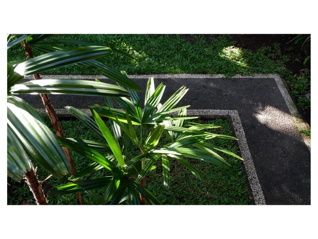 In Da Garden Apartment Ubud  Exterior photo