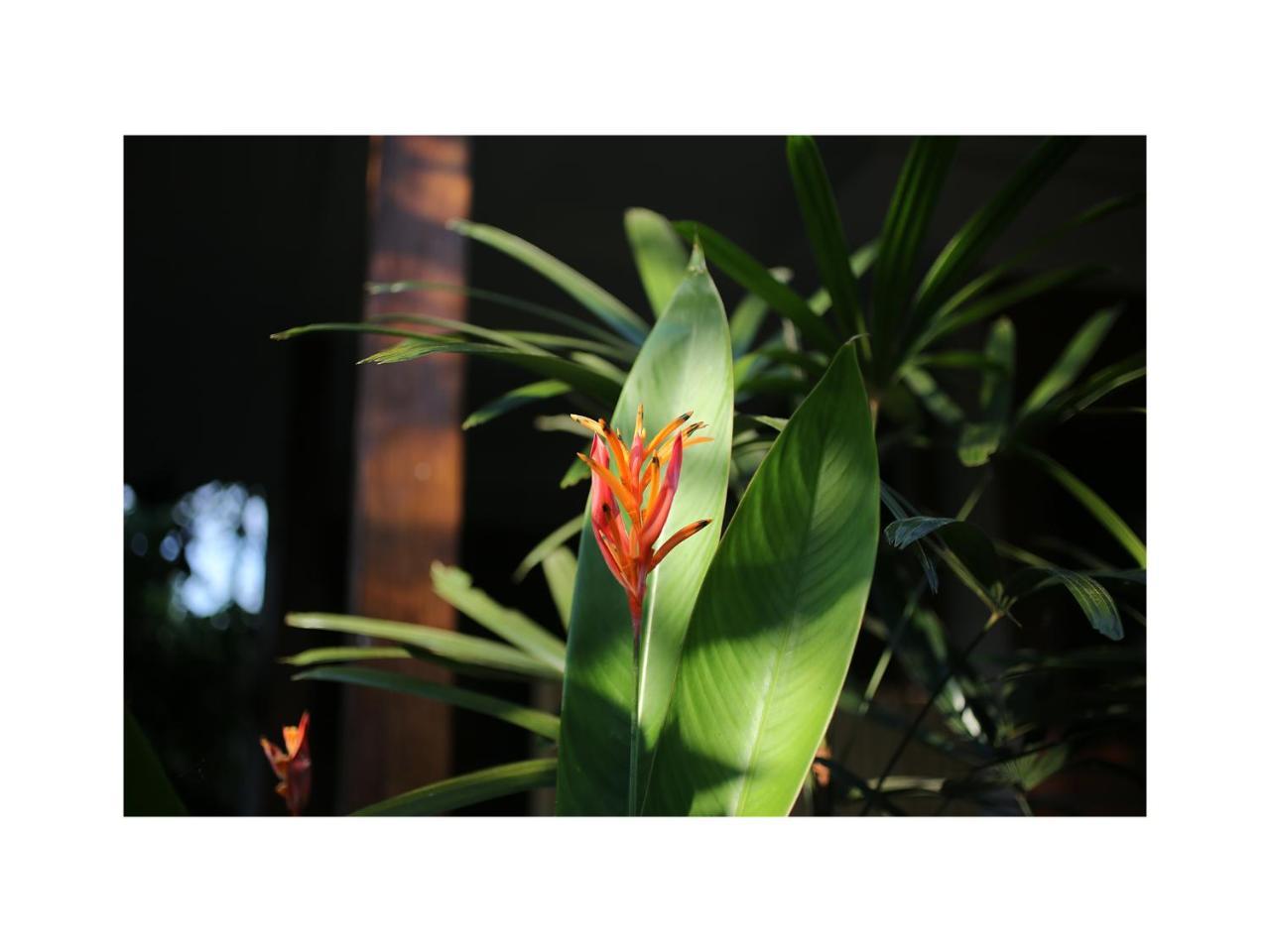 In Da Garden Apartment Ubud  Exterior photo