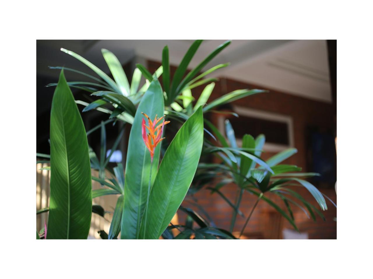 In Da Garden Apartment Ubud  Exterior photo
